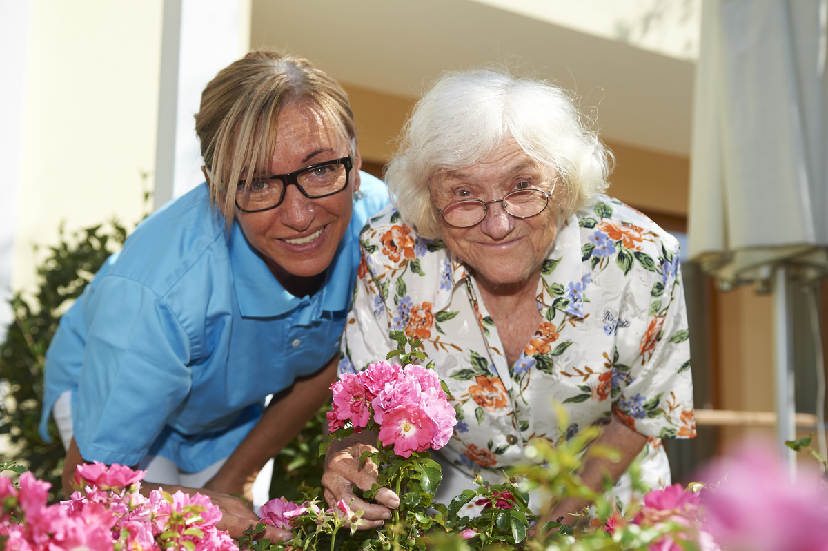 Sozialzentrum Stegersbach